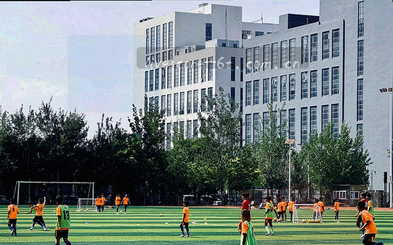 日历格子上标注多个赛事标记的赛程查询界面